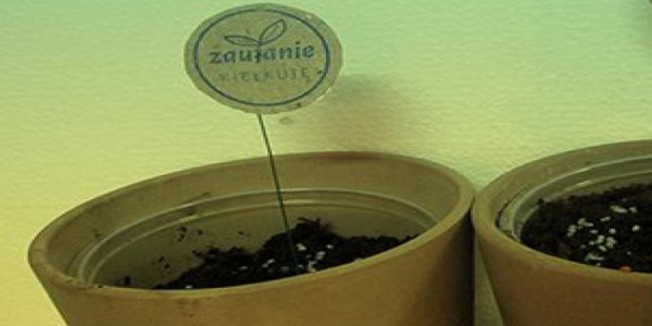 O zaufaniu