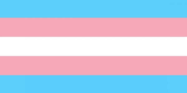 Międzynarodowy Dzień Widoczności Osób Transpłciowych