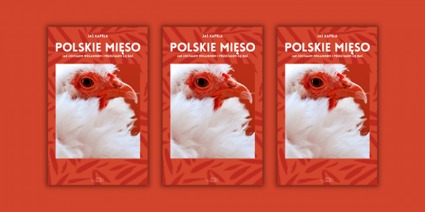 Nie ma być przyjemnie