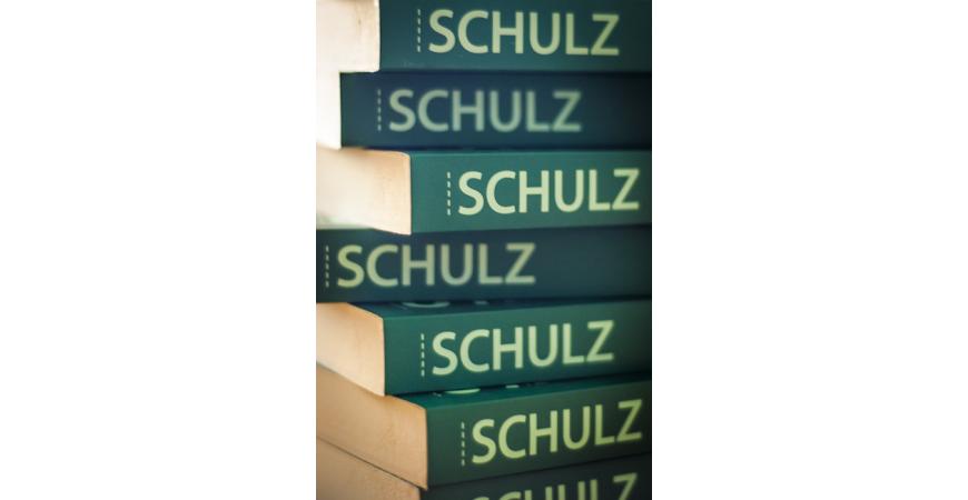 Spuścizna Schulza
