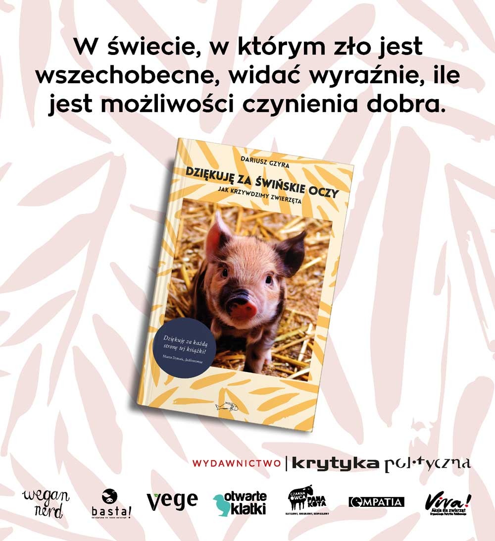 Szuflada.net o "Dziękuję za świńskie oczy"