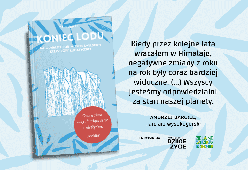 Nowa epoka lodowcowa