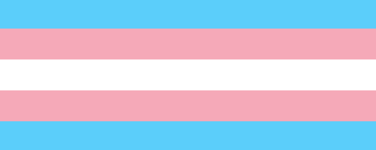 Międzynarodowy Dzień Widoczności Osób Transpłciowych