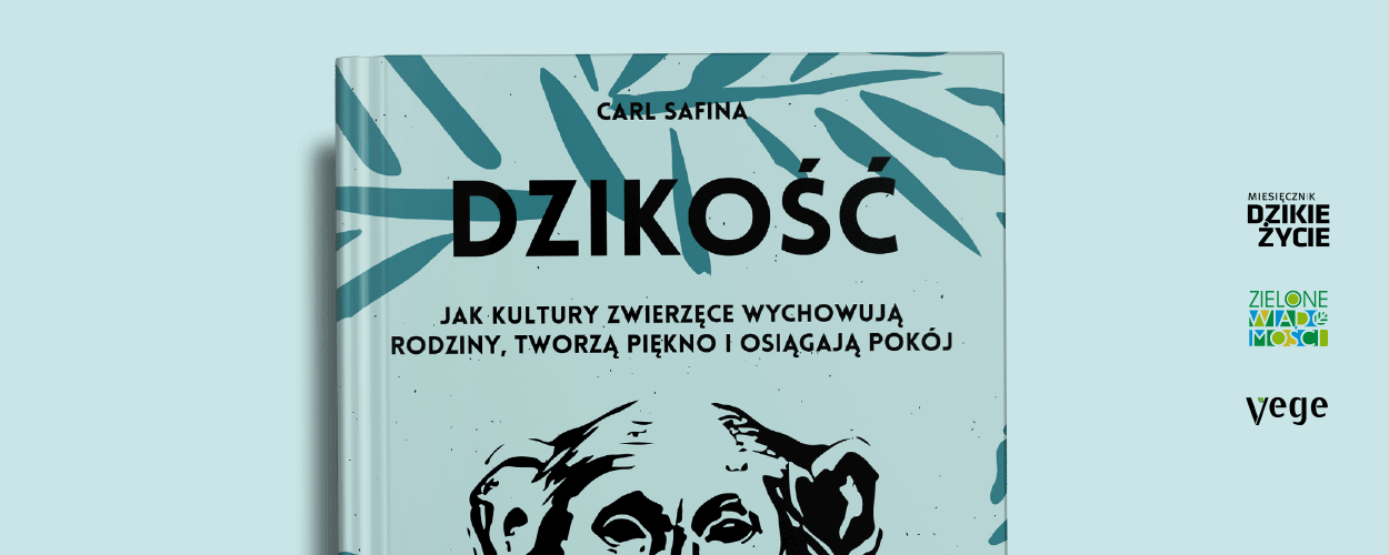 Spotkanie z inteligencją natury